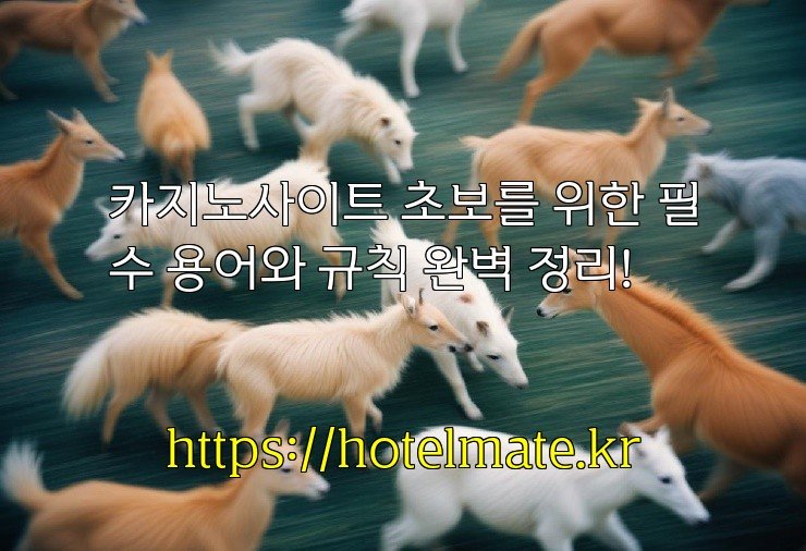 카지노사이트 초보를 위한 필수 용어와 규칙 완벽 정리!